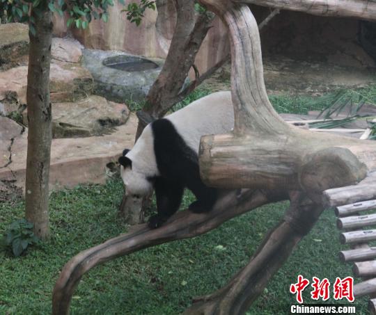 D顰ߡ(d)ľ z