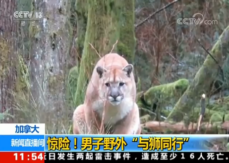 ���ô��@�U(xi��n)������Ұ�⡰�c�{ͬ�С�