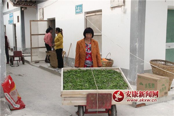 Qr(nng)(li)簴ƱI(lng)ȡQN(du)СQρQٝ^ (2).jpg