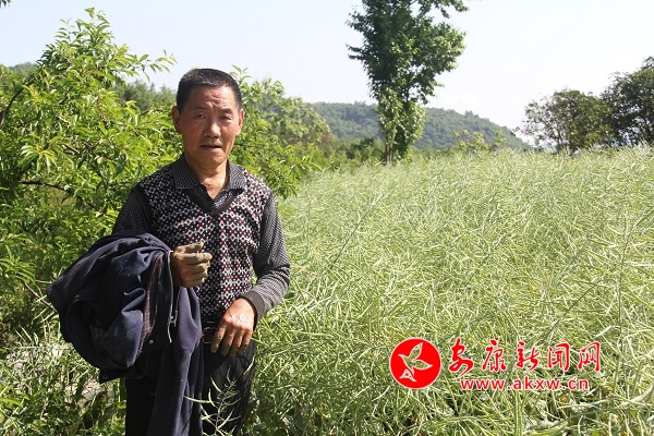 67qďFe(cu)Ͳfȥµ600߀uԼ̓̤(sh)