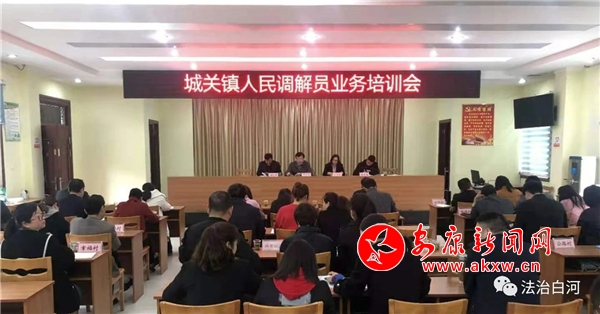 城關(guān)鎮(zhèn)人民調(diào)解員業(yè)務(wù)培訓(xùn)會(huì).jpg