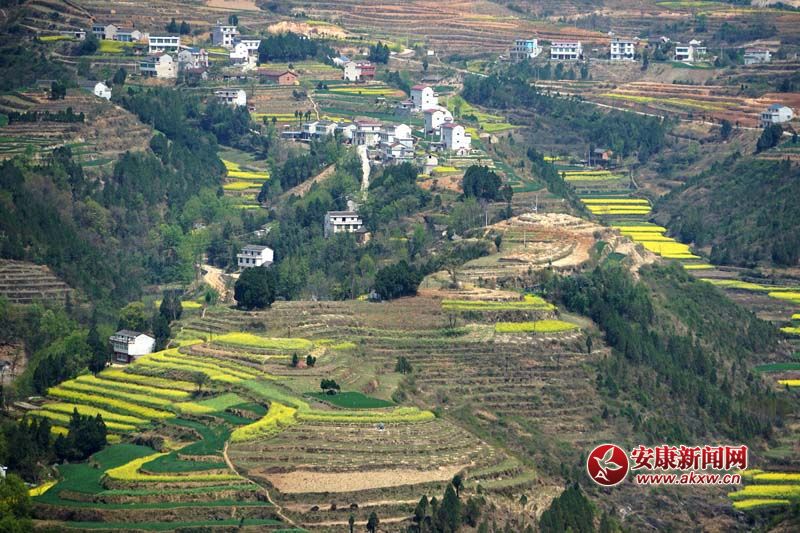 D2.̎(ni)ꑸ(d)߁ɽɽɽص6Nεòc(din)˷Ϣ@˂ò