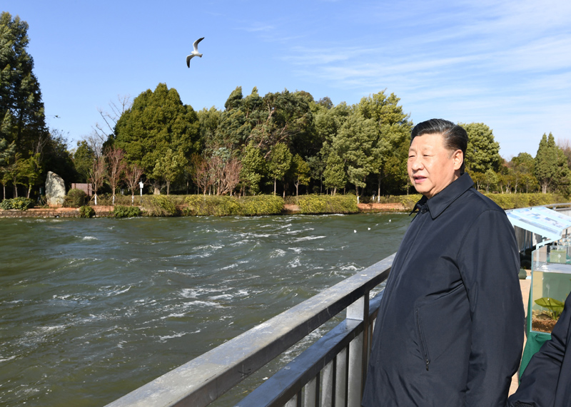 2020年1月20日下午，習(xí)近平總書記在云南昆明滇池星海半島生態(tài)濕地考察調(diào)研。